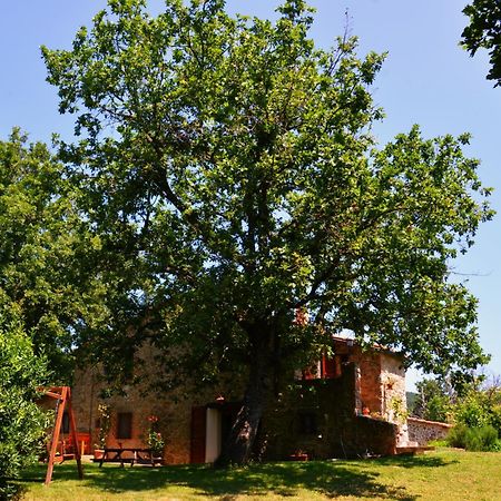 Il Venaio Massa Marittima Exterior foto