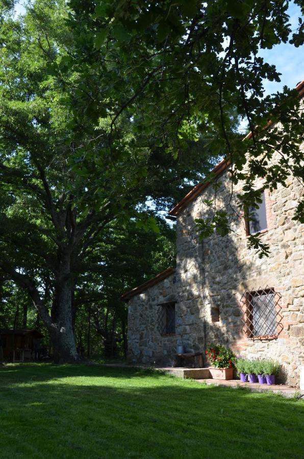 Il Venaio Massa Marittima Exterior foto