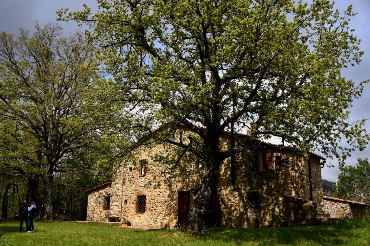 Il Venaio Massa Marittima Exterior foto