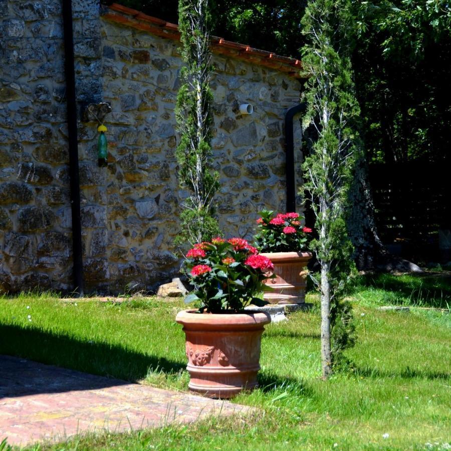 Il Venaio Massa Marittima Exterior foto