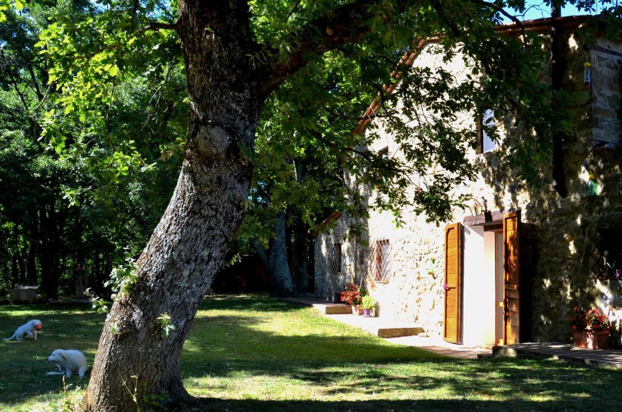 Il Venaio Massa Marittima Exterior foto